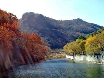 天天彩好彩天天免费，完本都市小说排行榜